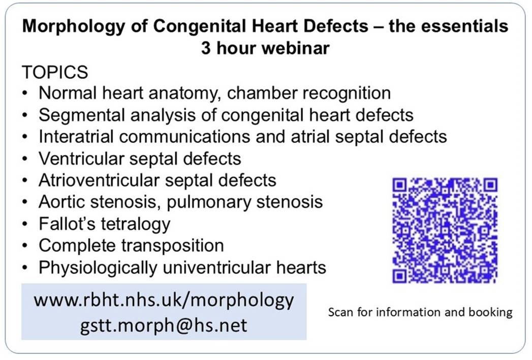 webinar cardiac morphology